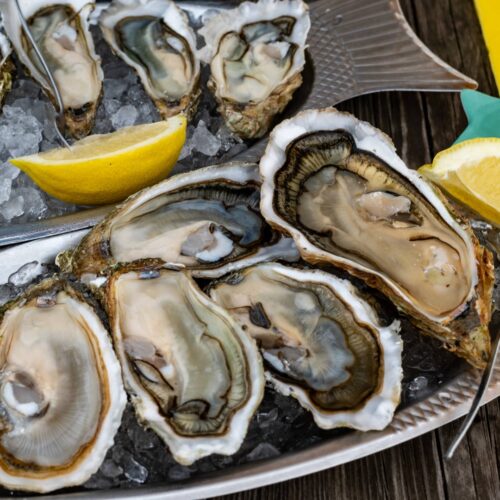 Bordeauxs oyster