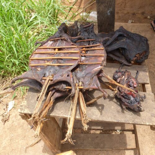 Bush meat