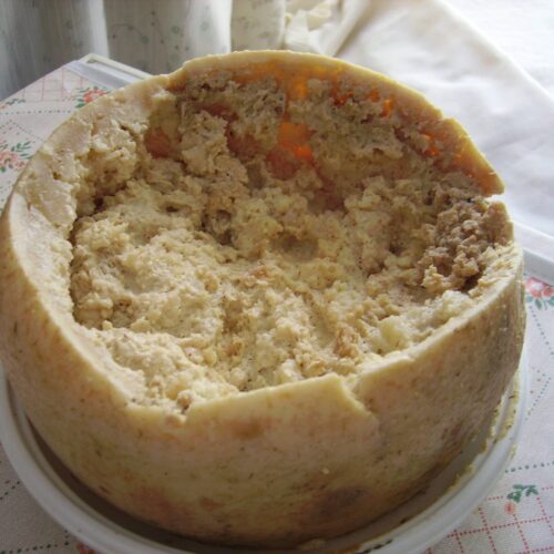 Casu Marzu