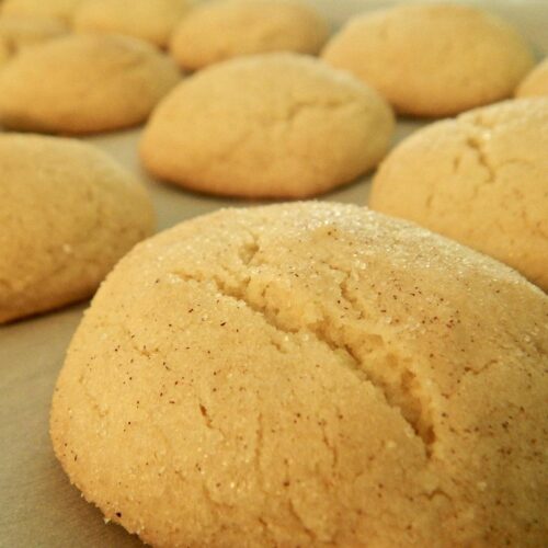 Snickerdoodle
