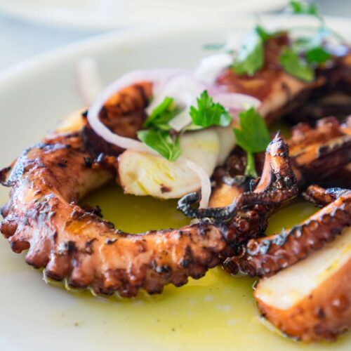 Grilled octopus