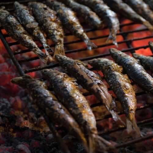 Grilled sardines