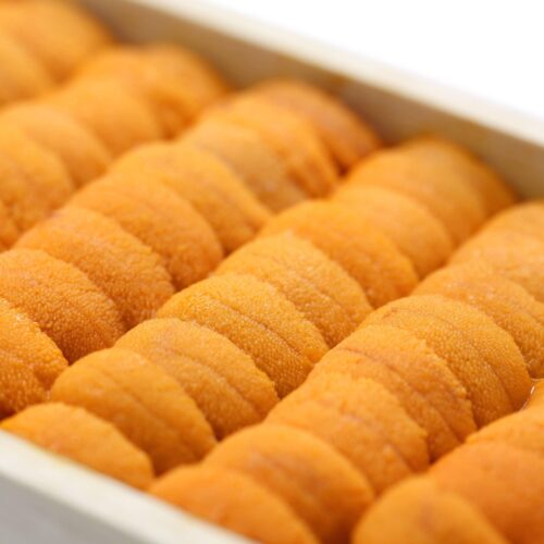Uni