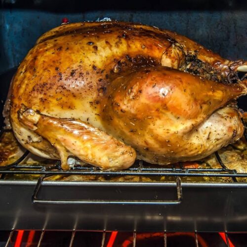 Thanksgiving turkey