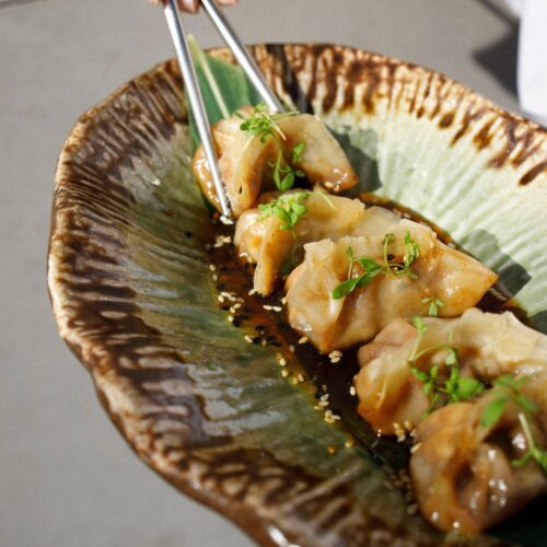 Gyoza