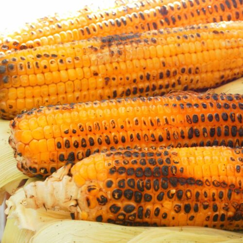 Corn on the cob