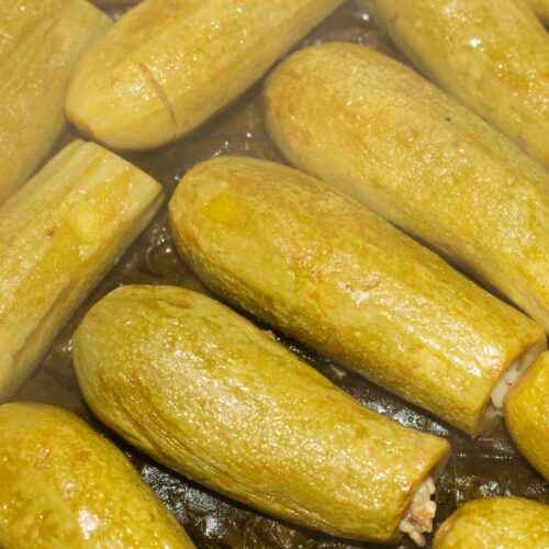 Dolma